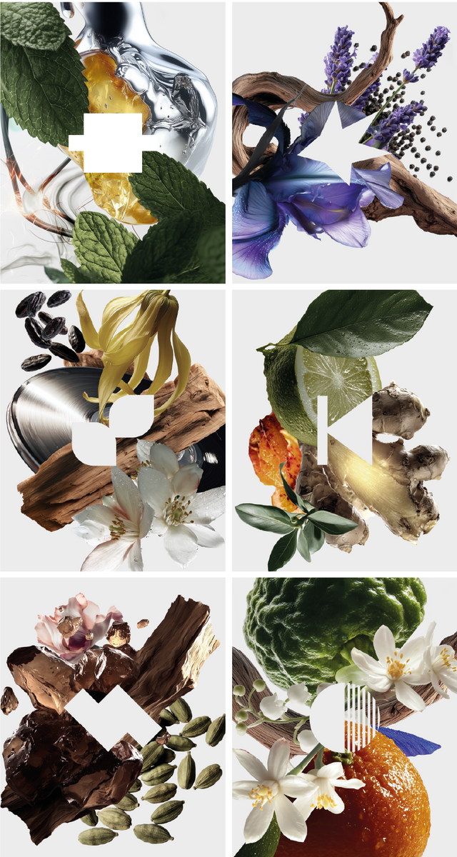 COFFRET DÉCOUVERTE ODYSSÉE