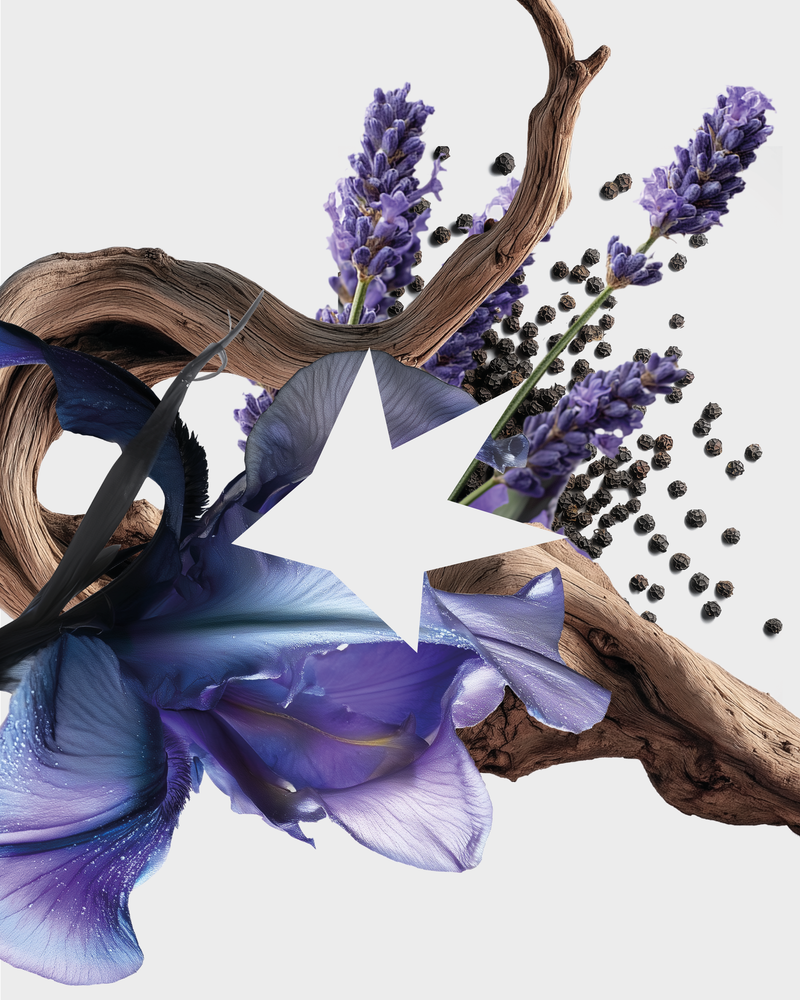 ÉVEIL ÉLÉMENTAIRE