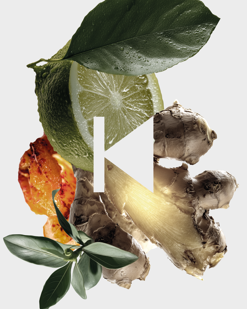 HÉRITAGE TERRESTRE